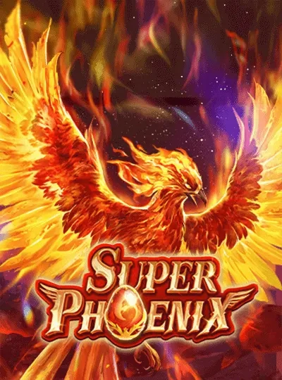 Book of Dead slot game cover